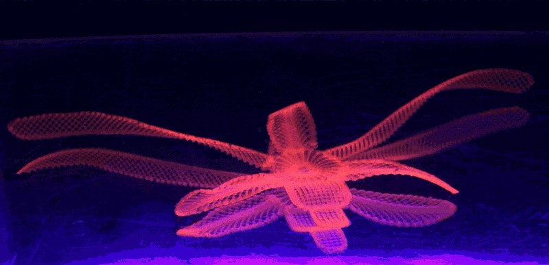 Four Dimensional Biofunctionalization